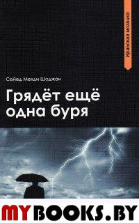 Грядет еще одна буря. Сейед Мехди Шоджаи