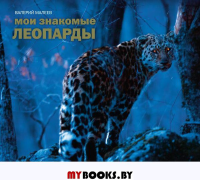 Мои знакомые леопарды. Валерий Малеев. Валерий Малеев