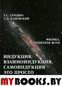 Гуревич Г., Каневский С. Индукция. Взаимоиндукция, самоиндукция - Это просто (Теория абсолютности).