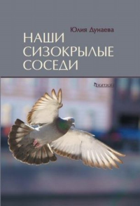Наши сизокрылые соседи. Дунаева Ю.