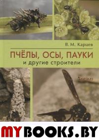 Пчелы, осы, пауки и другие строители. Карцев В.М.