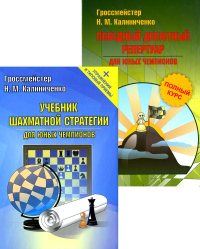 Шахматная стратегия. Дебют, миттельшпиль, эндшпиль . Калиниченко Н.