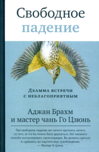 Свободное падение. Дхамма встречи с неблагоприятным. Аджан Брахм. Го Цзюнь