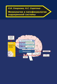 Физиология и патофизиология эндокринной системы. . Смирнова О.В..