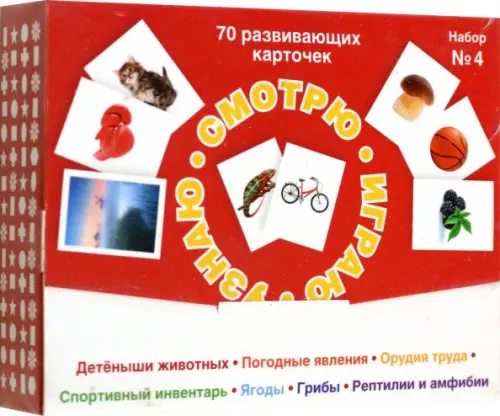 Набор карточек № 4. Смотрю. Играю. Узнаю.