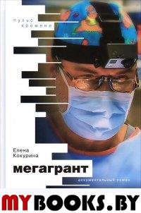 Кокурина Е.В. Мегагарант. Документальный роман. - М.: Бослен, 2015. - 240 с.: ил. - (Пульс времени)