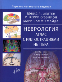 Неврология. Атлас с иллюстрациями Неттера. Фелтен Д.Л., О'Бэнион М.К., Майда М.С.
