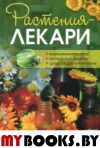 Растения-лекари: выращивание и сбор, кулинарные рецепты.