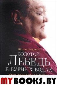 Золотой лебедь в бурных водах. Необыкновенная жизнь Десятого Кармапы. Ринпоче Ш.