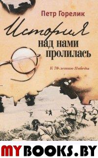 Горелик П.З. История над нами пролилась. К 70-летию победы.