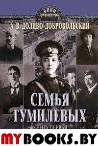 Семья Гумилевых. Кн.1. Николай Гумилев: Поэт и воин. Доливо-Добровольский А.В.