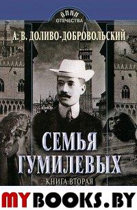 Семья Гумилевых. Кн.2. Николай Гумилев: Поэт, путешественник и историк. Доливо-Добровольский А.В.