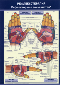 Плакат "Рефлексотерапия. Рефлекторные зоны кистей". Полноцветный, двустронний. Формат А4