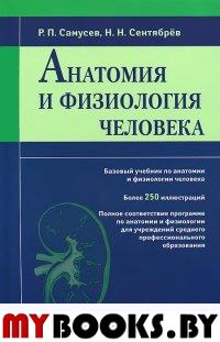 Анатомия и физиология человека: Учебное пособие