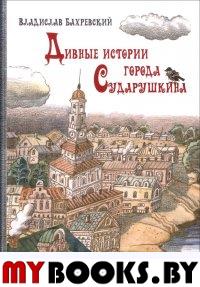 Дивные истории города Сударушкина