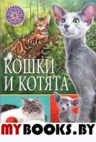 Кошки и котята (Популярная детская энциклопедия)