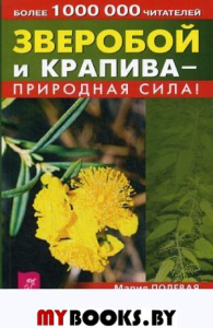 Зверобой и крапива - природная сила. Полевая М.А.