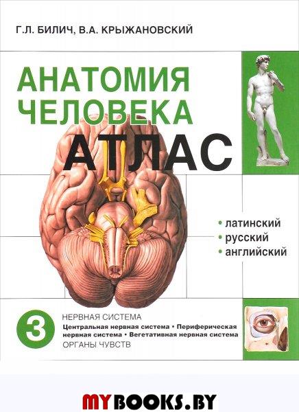 Анатомия человека.Атлас.Т.3. В 3х томах