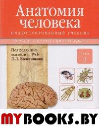 Колесников Л.,Г Анатомия человека. Т. 3-Нервная система. Органы чувств. Учебник в 3 томах