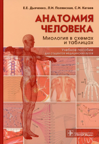 Дьяченко Е.,Пол Анатомия человека: Миология в схемах и таблицах