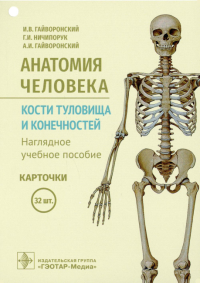 Анатомия человека. Кости туловища и конечностей. Нагляд. уч. пос. Карточки 32 шт. . Гайворонский И.