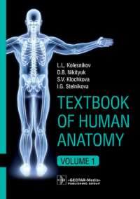 Колесников Л.Л., Никитюк Д.Б., Клочкова С.В., Стельникова И.Г.. Textbook of Human Anatomy. In 3 vol. Vol. 1. Locomotor apparatus = Анатомия человека: Учебник на английском языке