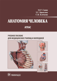 Брыксина З.Г., Сапин М.Р., Клочкова С.В.. Анатомия человека. Атлас: Учебное пособие для медицинских училищ и колледжей