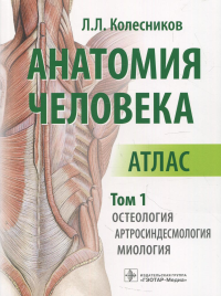 Колесников Л. Анатомия человека. Т. 1. Остеология,артросиндесмология,миология. В 3х томах