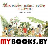 Как растут ягоды, орехи и фрукты. . Мюллер Г.Добрая книга