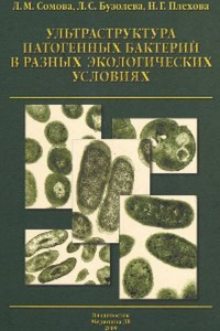 Ультраструктура патогенных бактерий в разных экологических условиях. Сомова Л.М., Бузолева Л.С., Плехова Н.Г.
