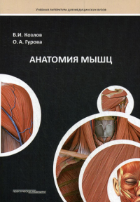 Анатомия мышц: Учебное пособие