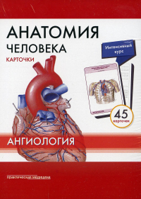 Анатомия человека: Карточки. (45шт). Ангиология