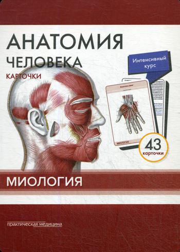 Анатомия человека: карточки (43 шт). Миология: Учебное пособие