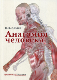 Анатомия человека: Учебник для медицинских вузов. 2-е изд., испр. и доп. . Козлов В.И.Практическая медицина