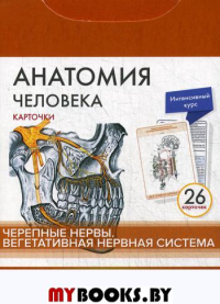 Анатомия человека: карточки. (26 шт). Черепные нервы. Вегетативная нервная система