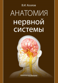 Анатомия нервной системы: учебное пособие. Козлов В.И.