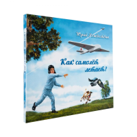 Как самолет летает?. Рождествин Ю.