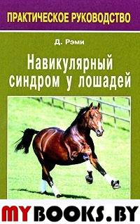 Навикулярный синдром у лошадей