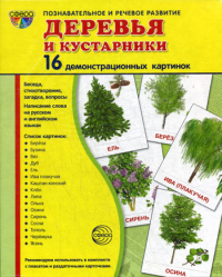 Сост. Цветкова Т.В.. Демонстрационные картинки. Деревья и кустарники: 16 демонстроционных картинок с текстом