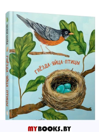 Гнёзда, яйца, птицы . Осейд Келси