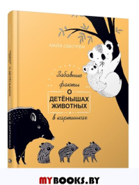 Забавные факты о детенышах животных в картинках. Сэфстрем М.