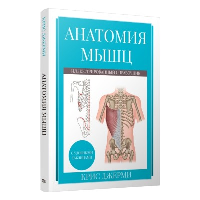 Анатомия мышц: иллюстрированный справочник. Джерми К.