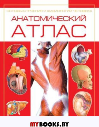 Ататомический атлас.Основы строения и физиологии человека