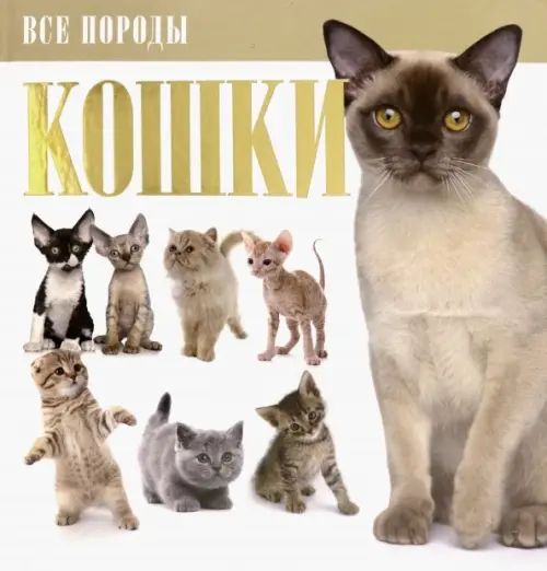 Кошки.
