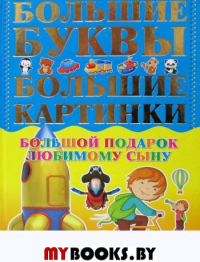 Александров И.. Большой подарок любимому сыну. Большие буквы. Большие картинки