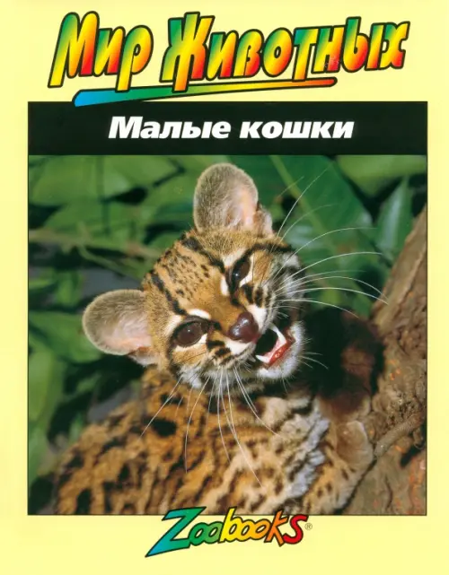 Малые кошки. Веско Джон Боннет